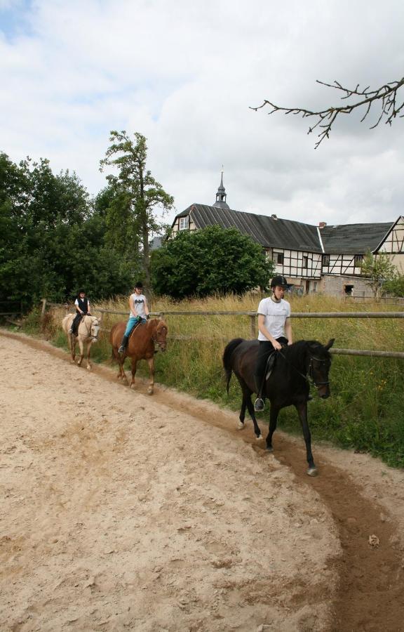 Pferd - Spass - Entspannung Staitz Esterno foto