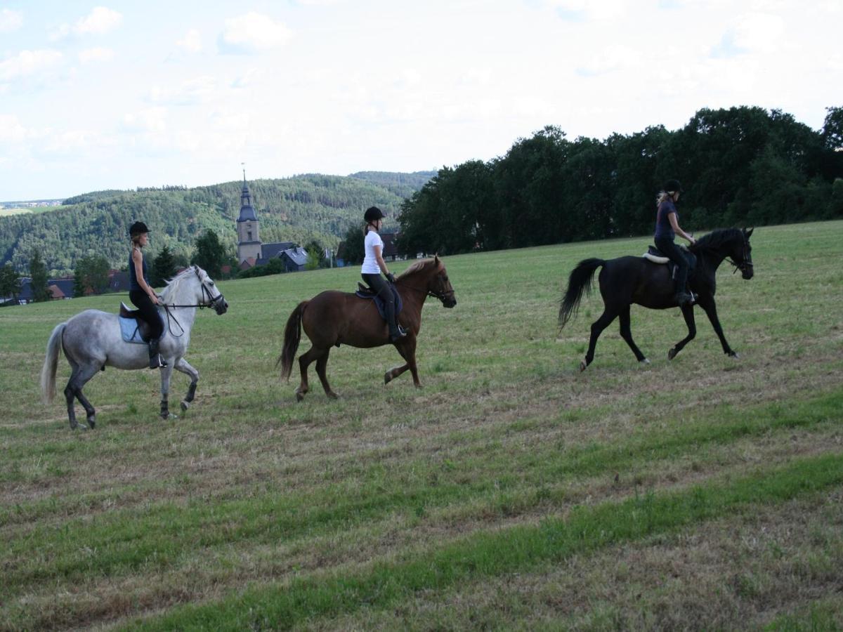 Pferd - Spass - Entspannung Staitz Esterno foto
