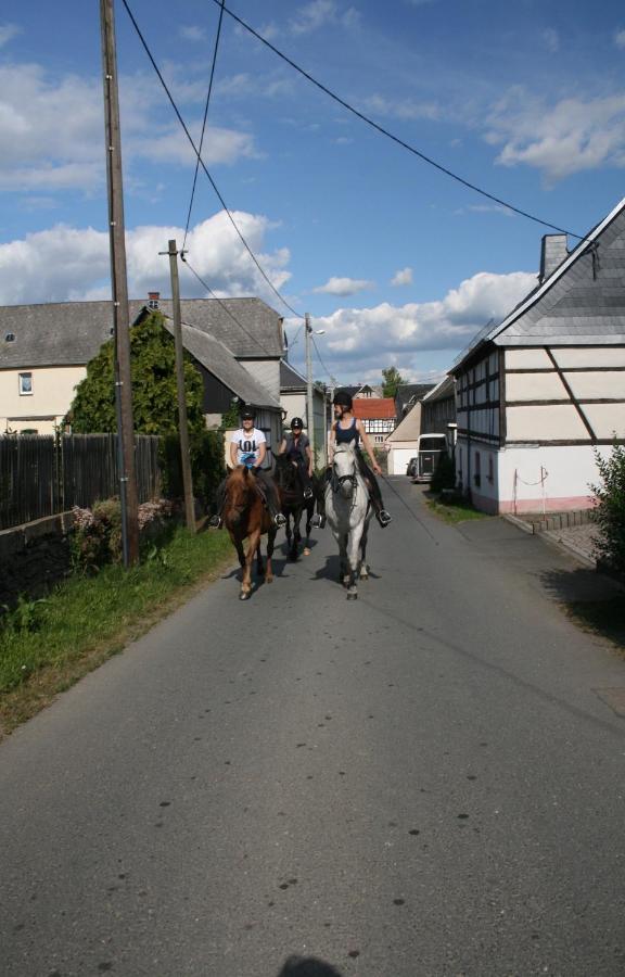 Pferd - Spass - Entspannung Staitz Esterno foto