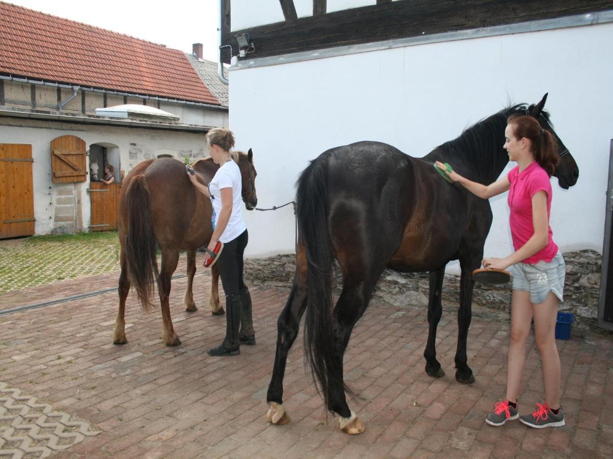 Pferd - Spass - Entspannung Staitz Esterno foto