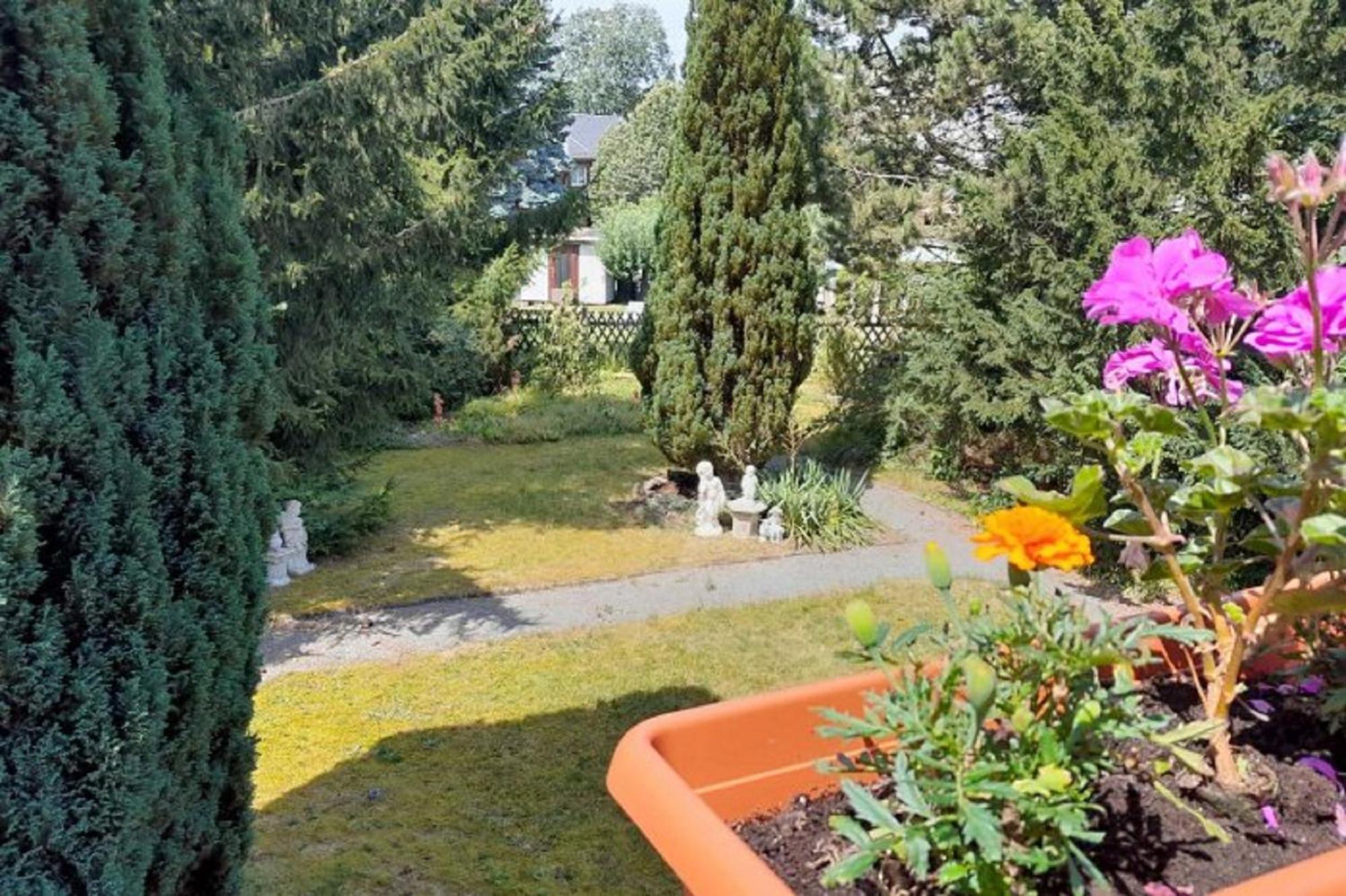 Pferd - Spass - Entspannung Staitz Esterno foto